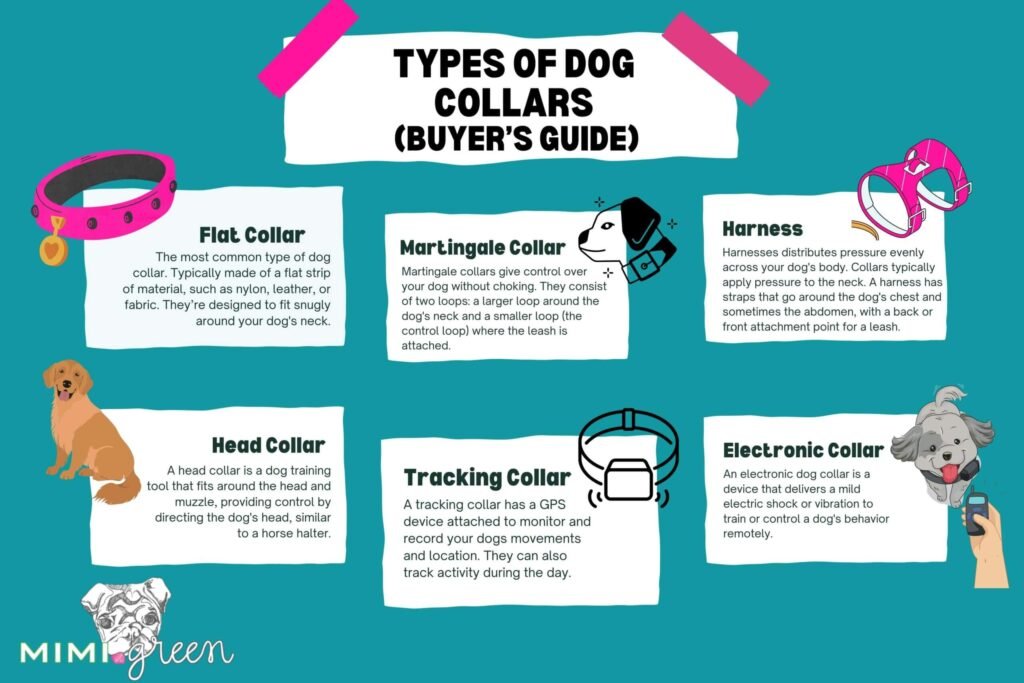 Dog Training Collar Types