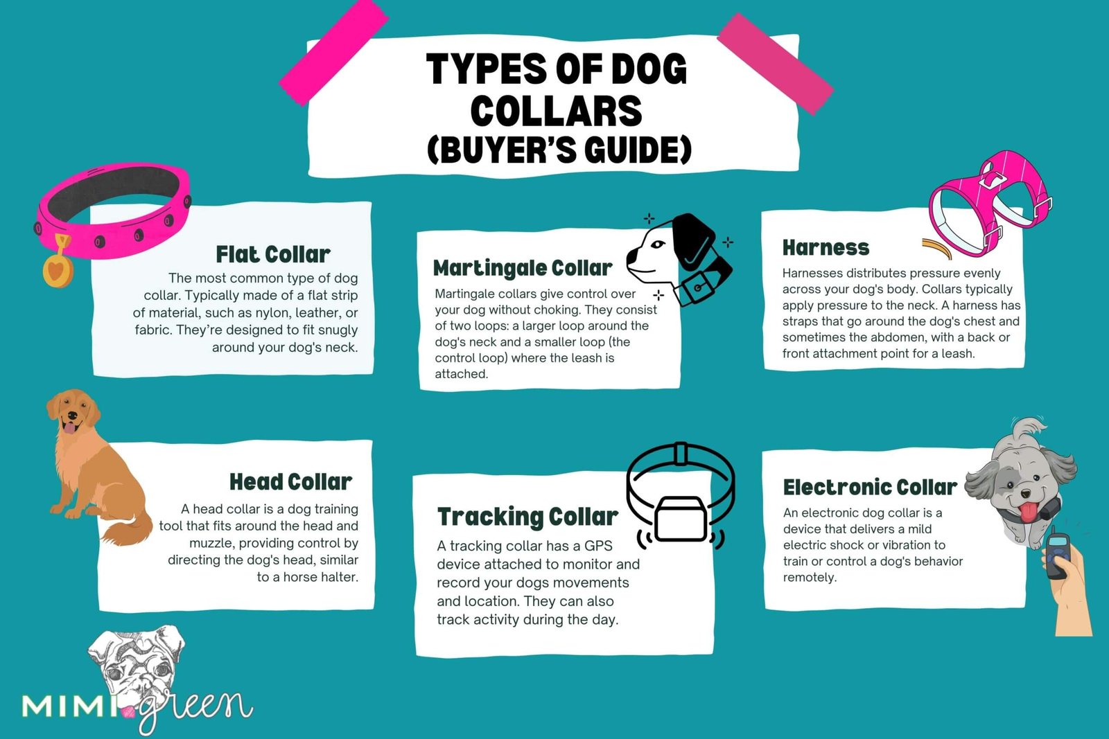 Dog Training Collar Types