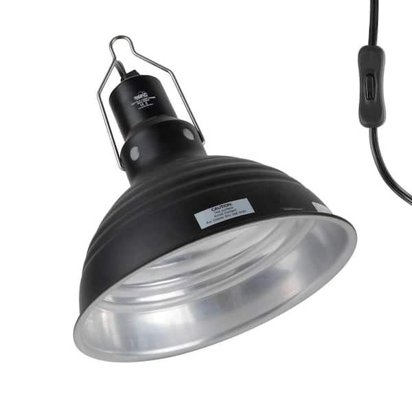 Reptile Heat Lamp Use