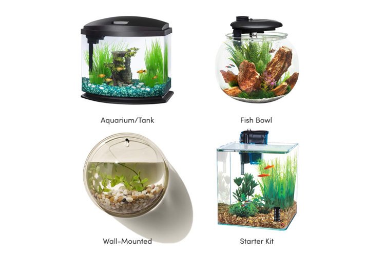 Aquarium Tank Types