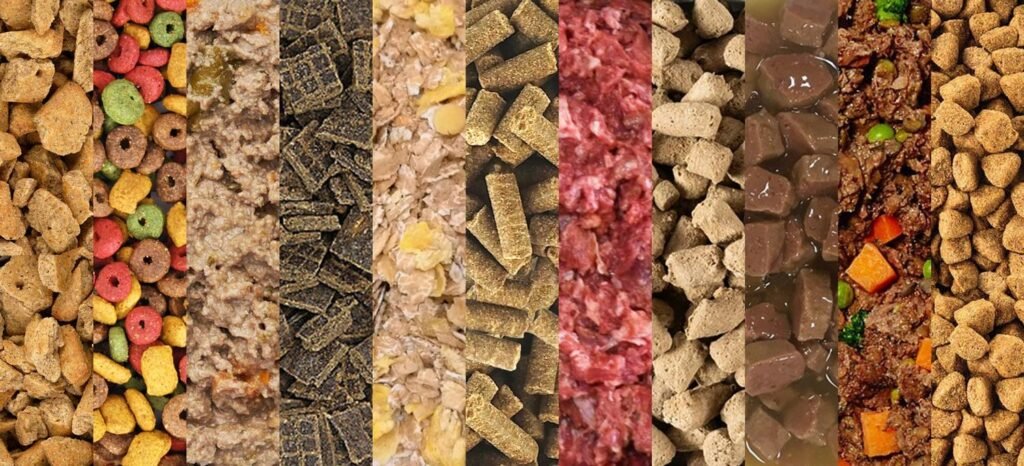 Dog Food Types Explained