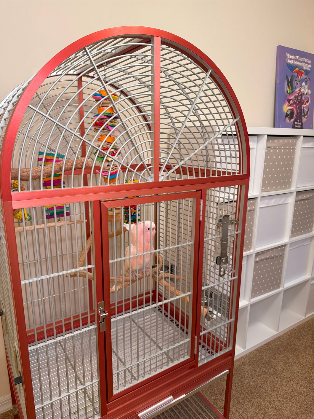 Bird Cage Setup Guide
