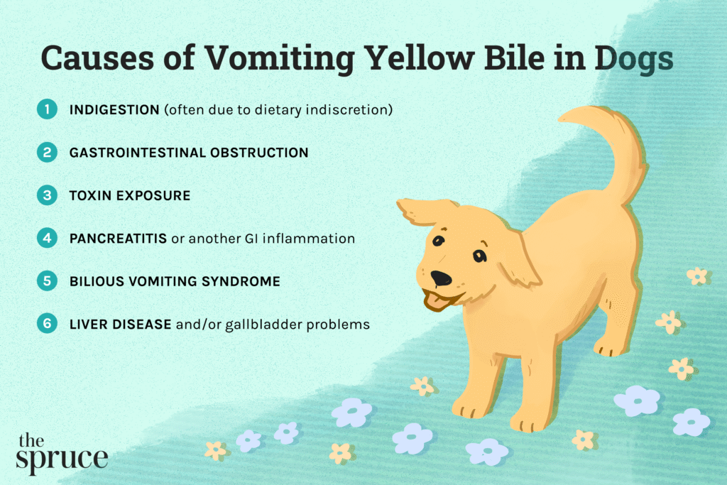 Dog Vomiting Yellow Foam