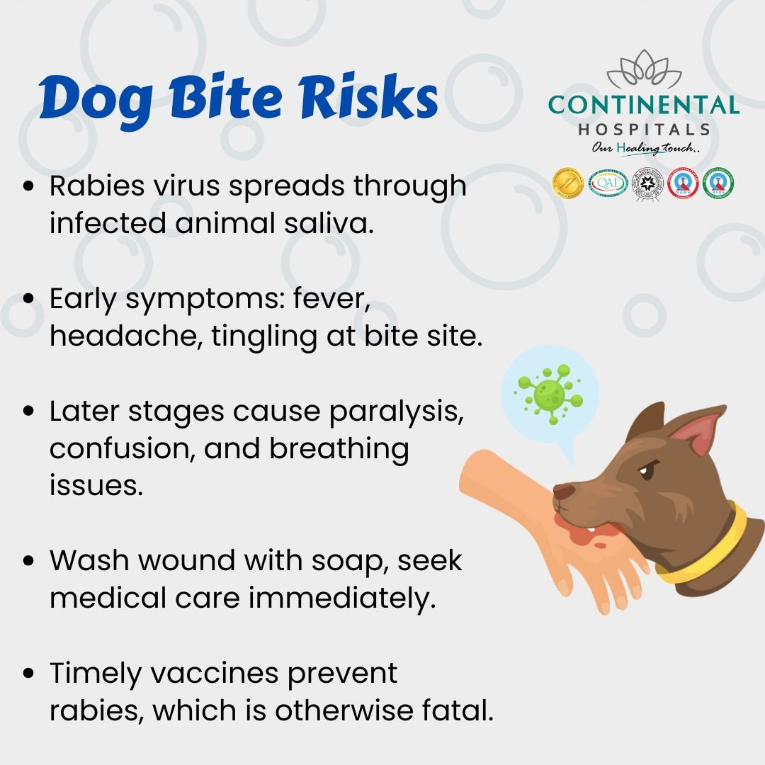 Dog Infection Warning Signs