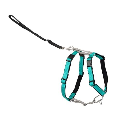 PetSafe 3-in-1 vs Ruffwear Front Range