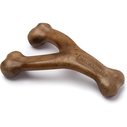 Benebone Wishbone vs Benebone Fishbone
