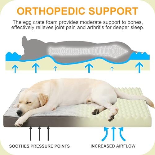 Dog Beds Crate Pad Review