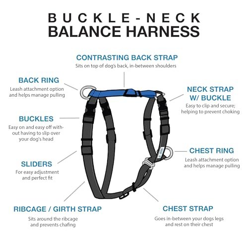 Blue 9 Balance Harness Reviews