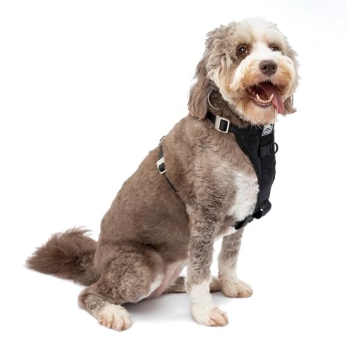 Kurgo Tru-Fit vs Ruffwear Front Range