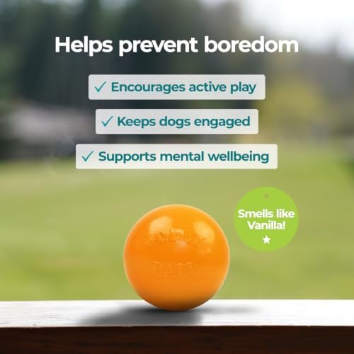 Pet Bounce Ball Reviews
