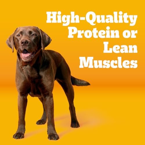 Pedigree Senior Dog Food Reviews