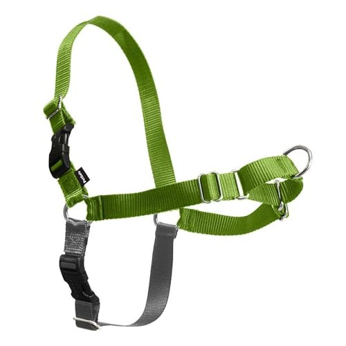 PetSafe Easy Walk vs PetSafe 3-in-1
