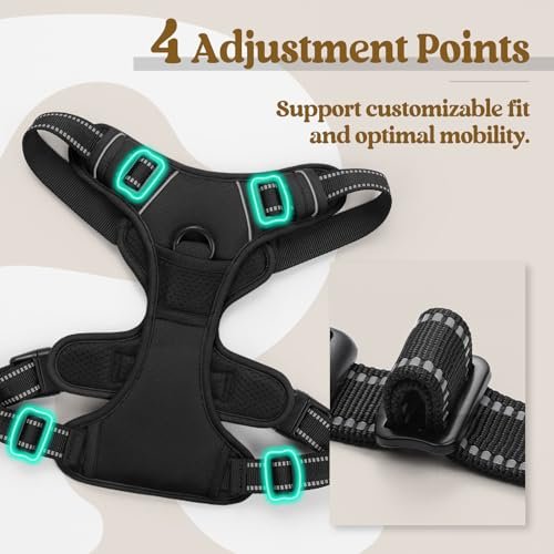 Rabbitgoo No Pull Harness Reviews