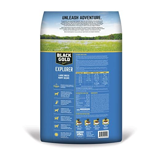 Black Gold Dog Food Review
