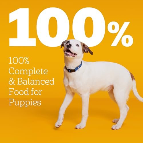Pedigree Puppy Food Reviews
