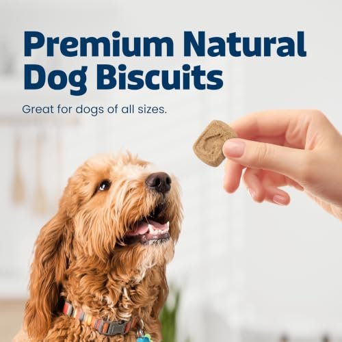 Blue Buffalo Healthy Dog Treats