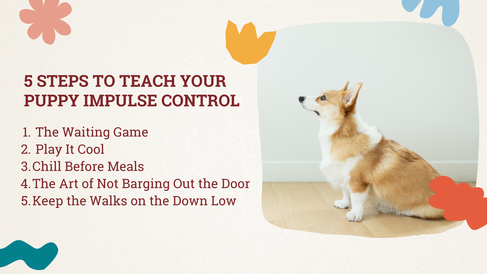 Dog Impulse Control Training