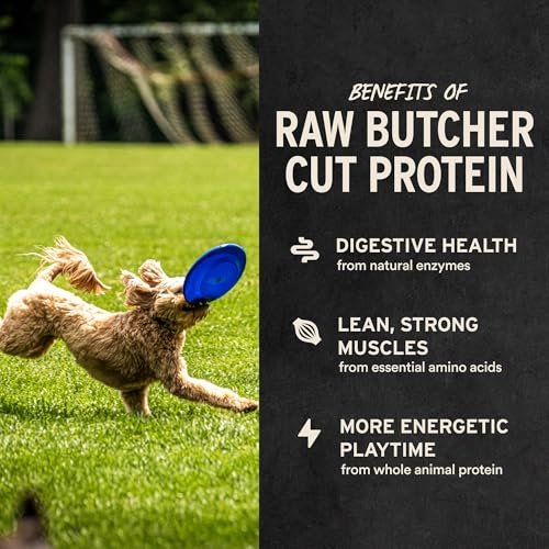 Vital Essentials Freeze Dried Dog Treats Beef Liver