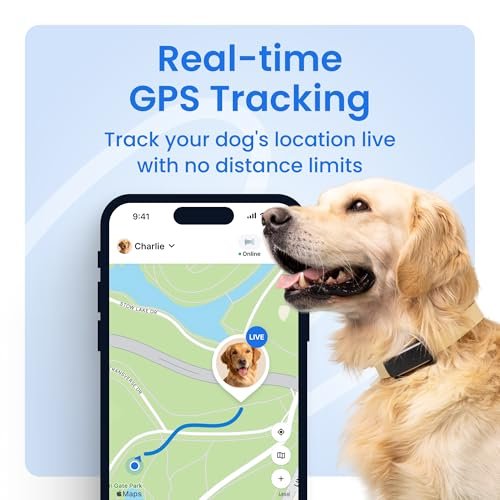 Tractive Gps Dog Tracker Reviews