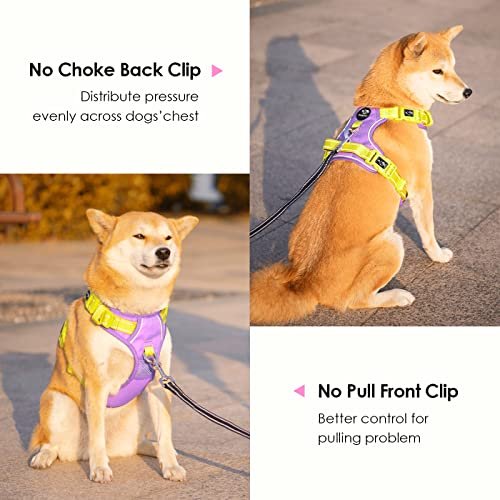 Phoepet Harness Review