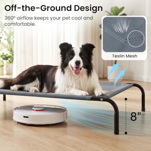 Elevated Dog Bed Reviews