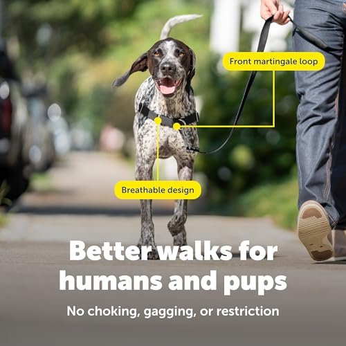 PetSafe Easy Walk Harness Review