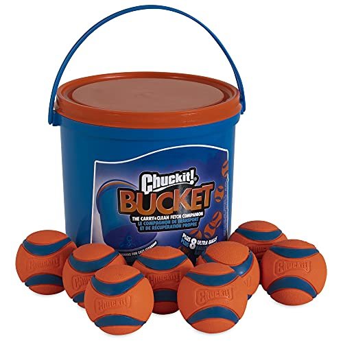 Chuckit Ultra Ball vs West Paw Jive