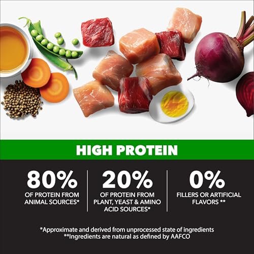 Retriever High Protein Dog Food Review