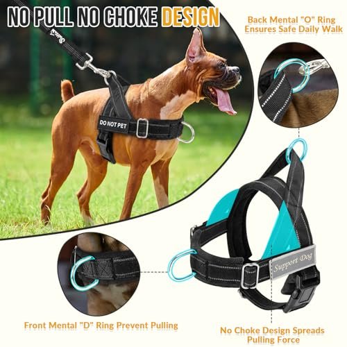 Slowton No Pull Dog Harness Review