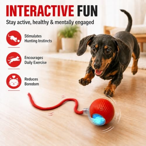 Puppy Dog Toys Moving Ball