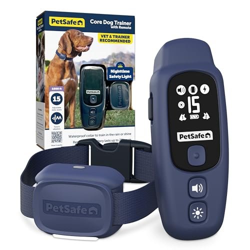 PetSafe Remote Trainer vs Dogtra ARC