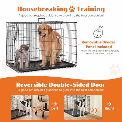 Sweetcrispy 36 Inch Dog Crate Review