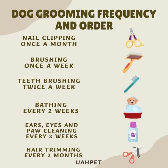 Dog Grooming Frequency