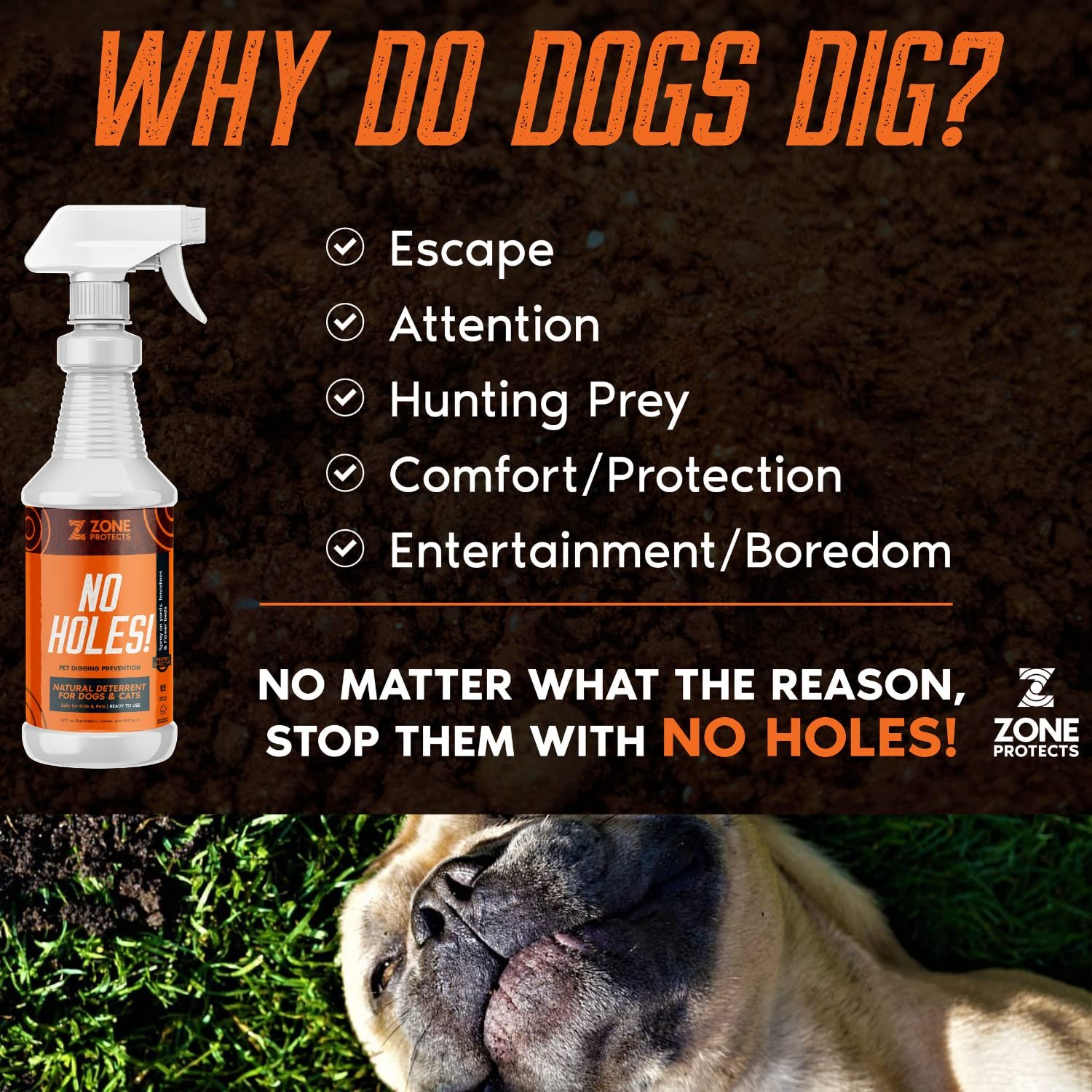 Dog Digging Prevention