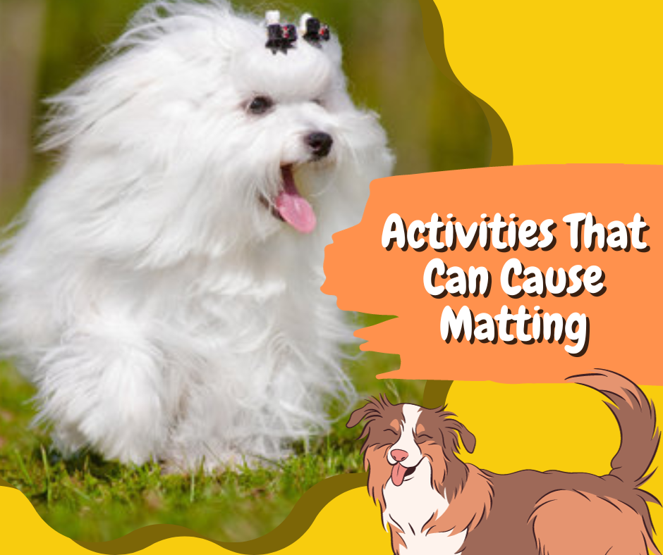 Dog Coat Mat Prevention