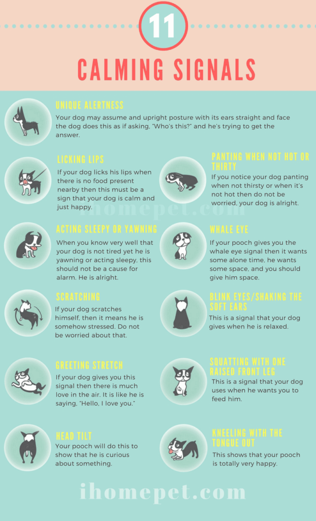Dog Calming Signals