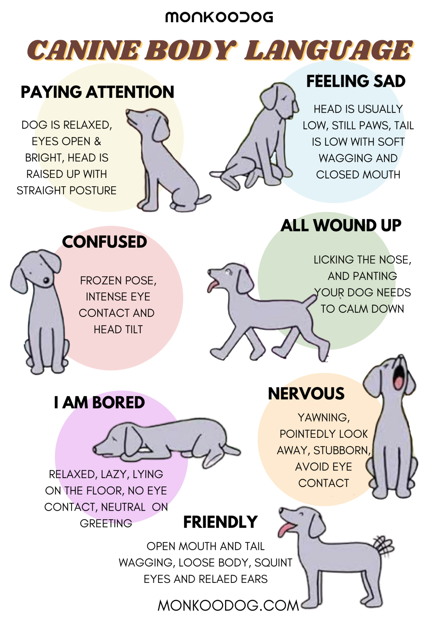 Dog Communication Signals