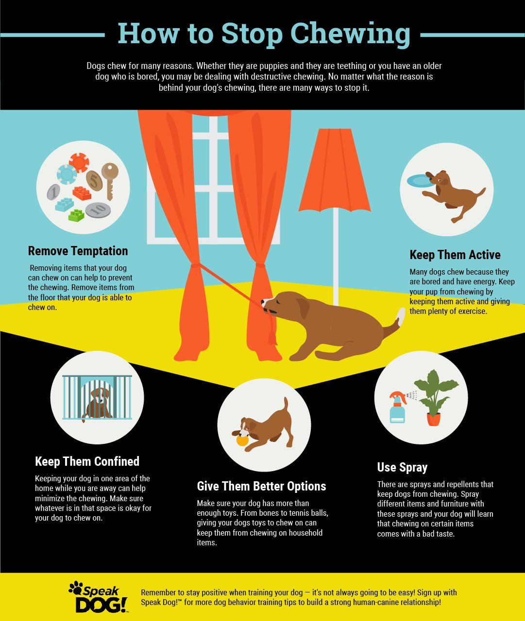 Dog Chewing Prevention