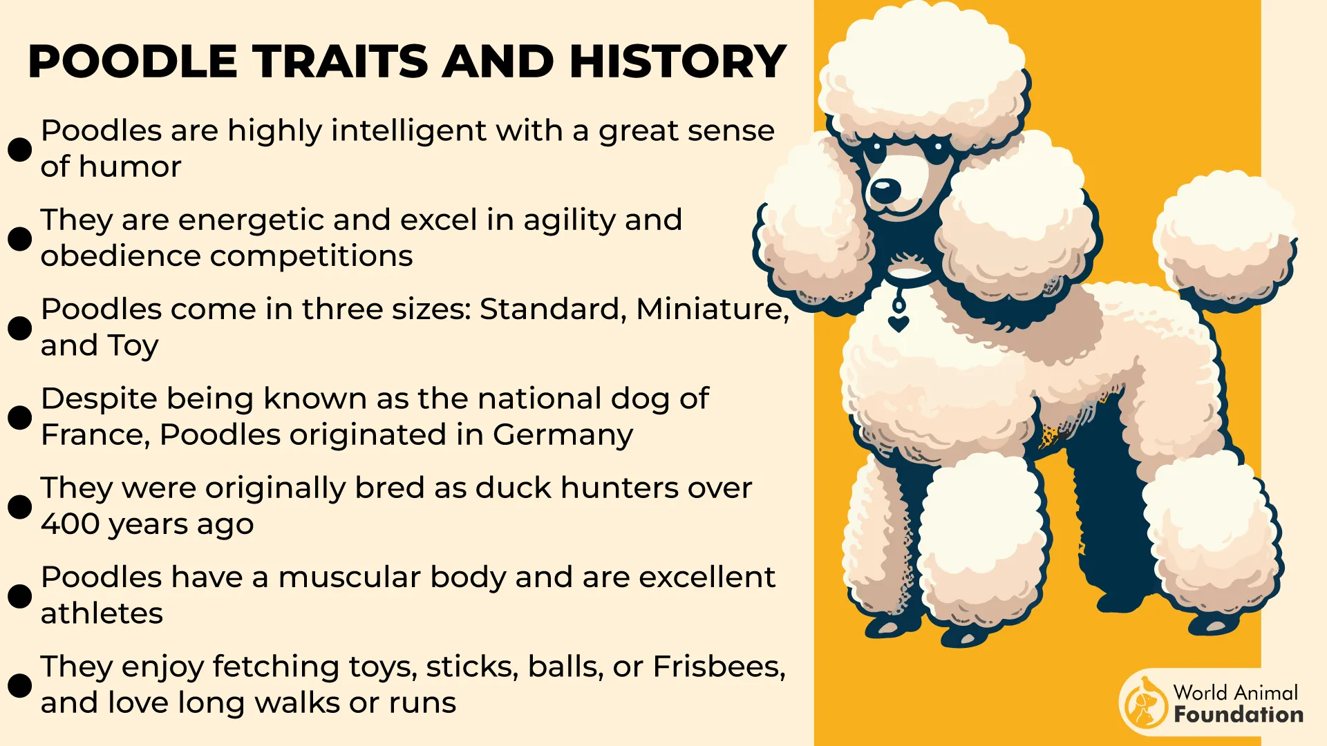 Poodle Temperament and Personality