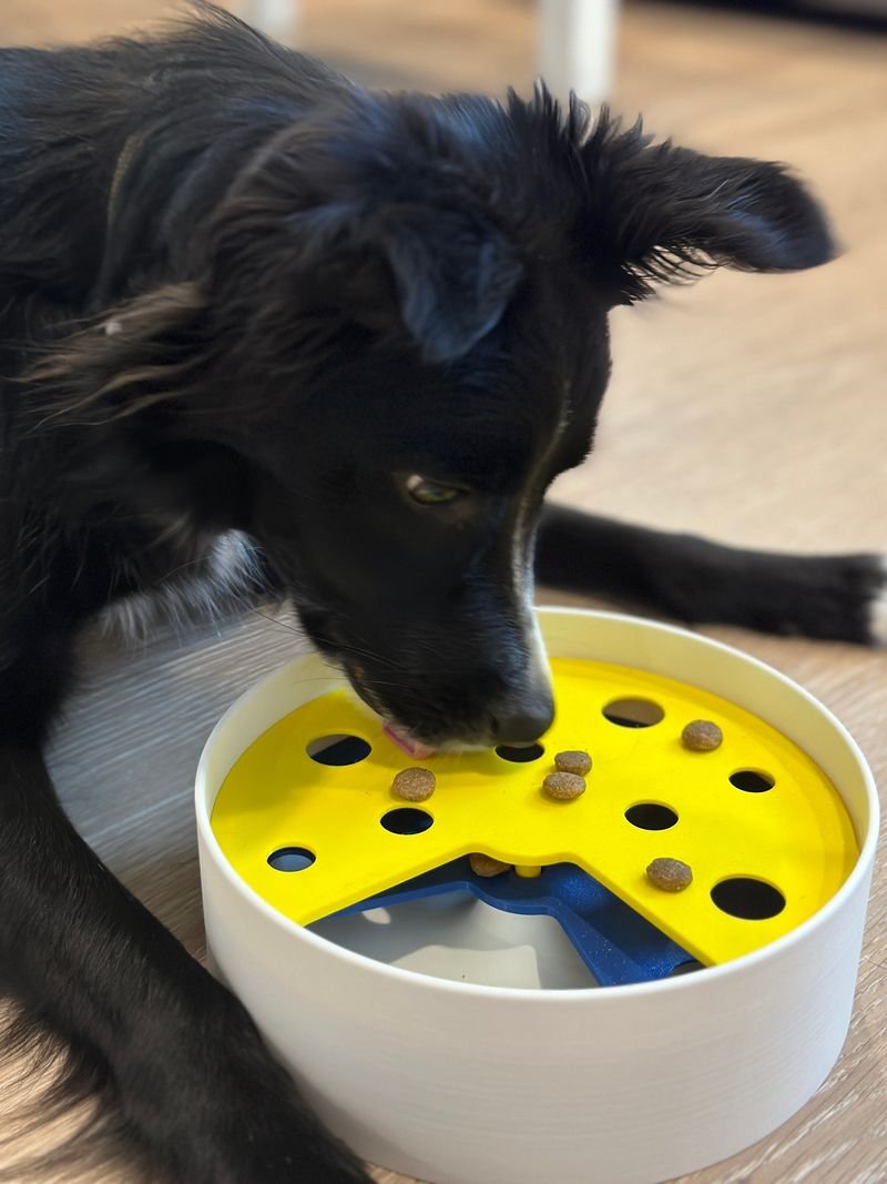 Dog Toy Rotation