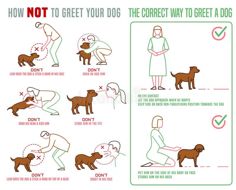 Dog Greeting Manners